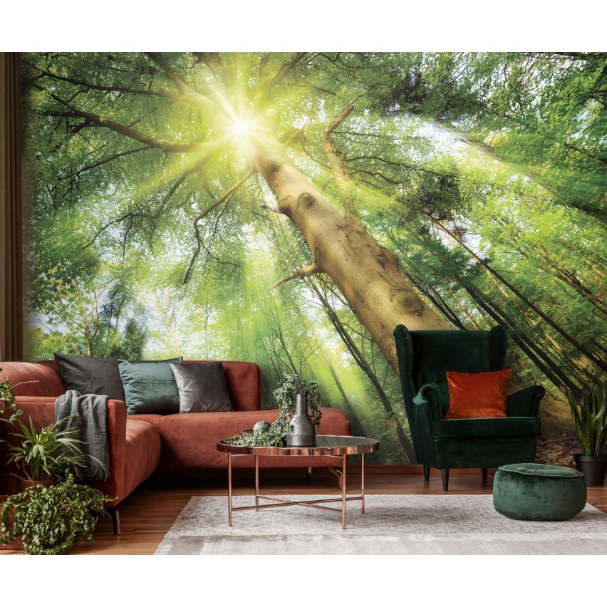 Fototapete WALD-(C10112)-Vlies-Tapete-Waldfläche Baum Sonne Bäume Licht XXL