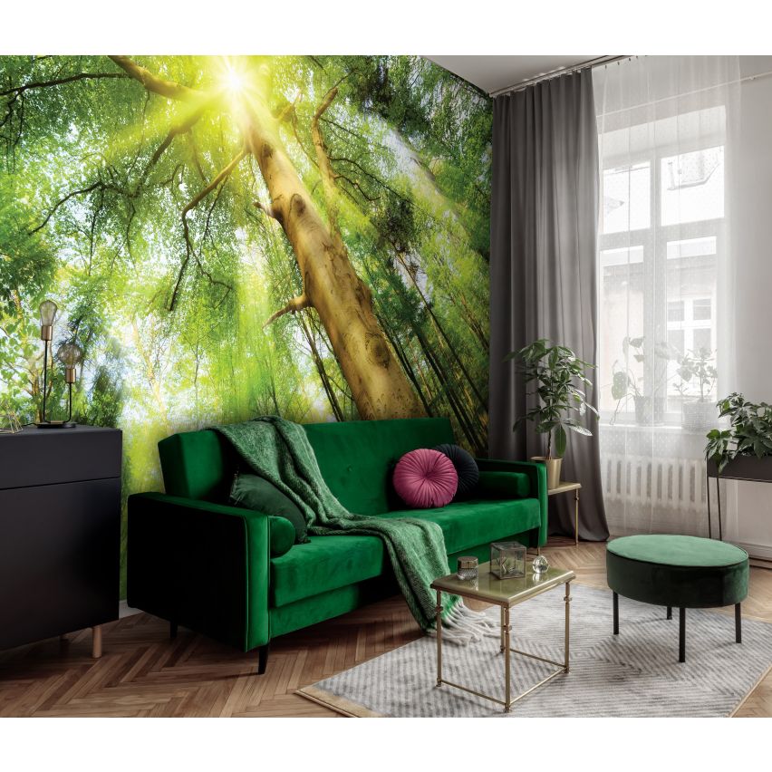 Fototapete WALD-(C10112)-Vlies-Tapete-Waldfläche Baum Sonne Bäume Licht XXL