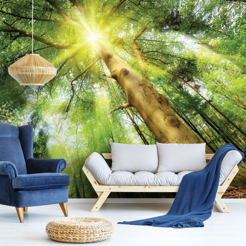Fototapete WALD-(C10112)-Vlies-Tapete-Waldfläche Baum Sonne Bäume Licht XXL