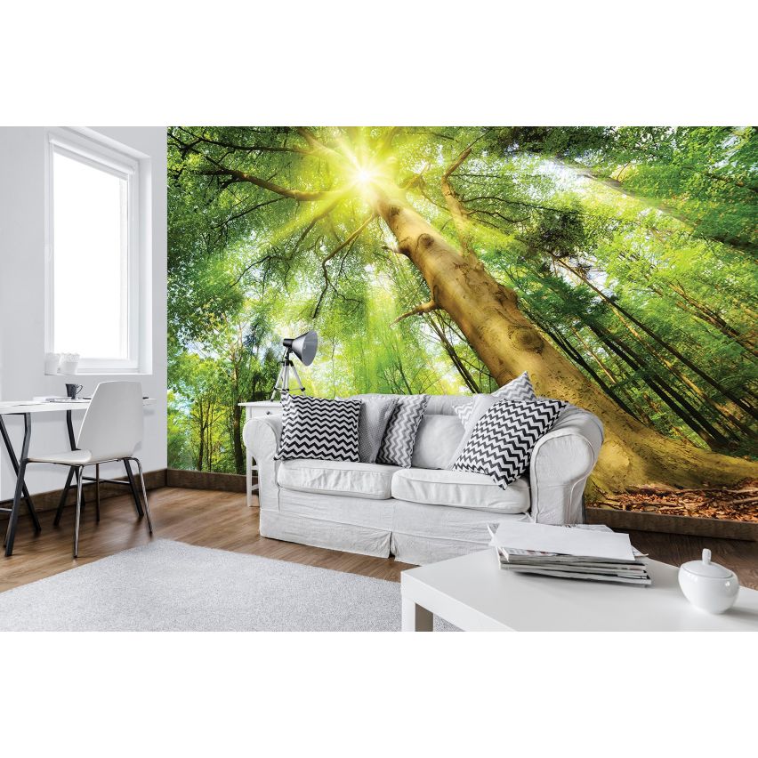 Fototapete WALD-(C10112)-Vlies-Tapete-Waldfläche Baum Sonne Bäume Licht XXL
