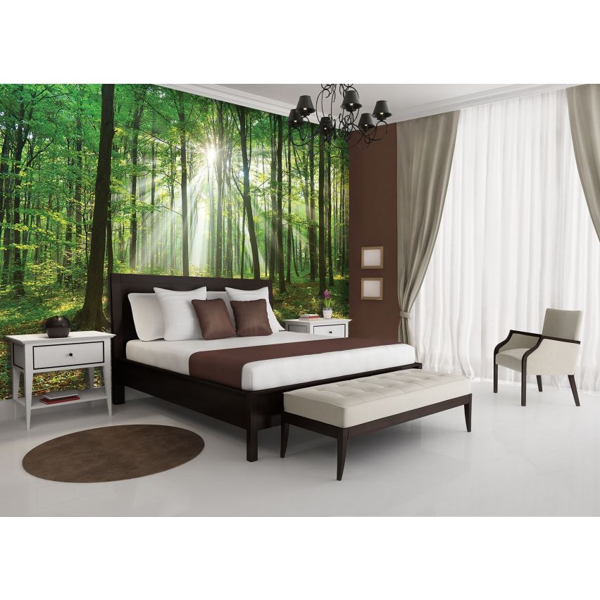 Fototapete WALD-(C10329)-Vlies-Tapete-Waldfläche Baum Sonne Bäume Licht XXL (Copy)