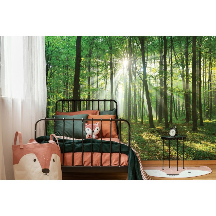 Fototapete WALD-(C10329)-Vlies-Tapete-Waldfläche Baum Sonne Bäume Licht XXL (Copy)