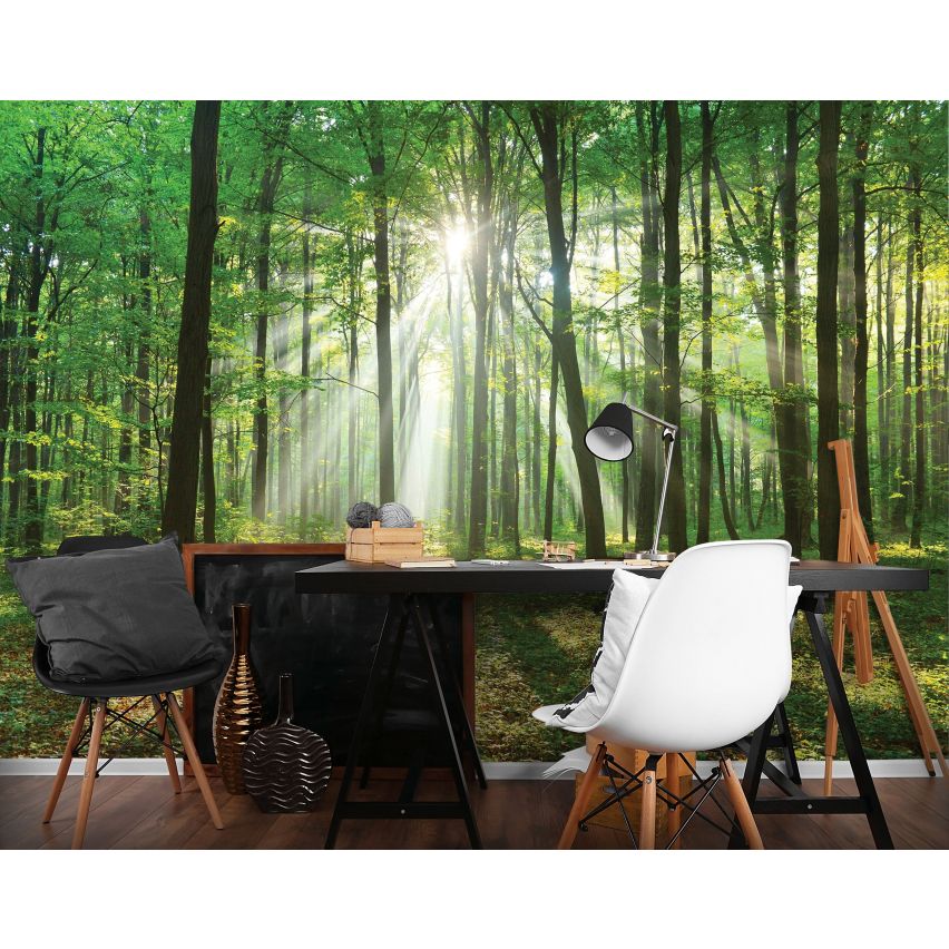 Fototapete WALD-(C10329)-Vlies-Tapete-Waldfläche Baum Sonne Bäume Licht XXL (Copy)
