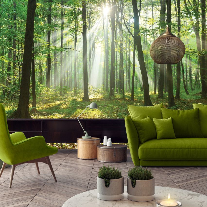 Fototapete WALD-(C10329)-Vlies-Tapete-Waldfläche Baum Sonne Bäume Licht XXL (Copy)