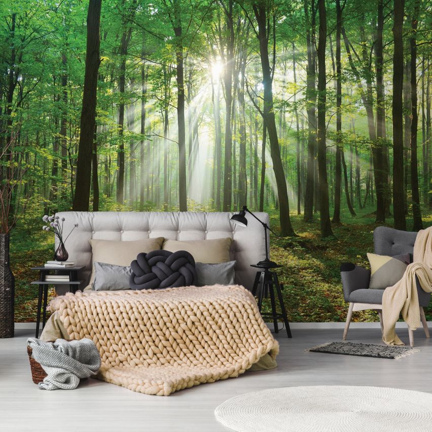Fototapete WALD-(C10329)-Vlies-Tapete-Waldfläche Baum Sonne Bäume Licht XXL (Copy)