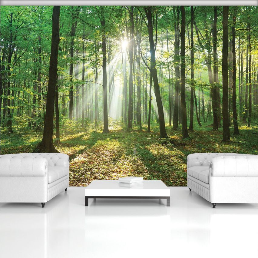 Fototapete WALD-(C10329)-Vlies-Tapete-Waldfläche Baum Sonne Bäume Licht XXL (Copy)