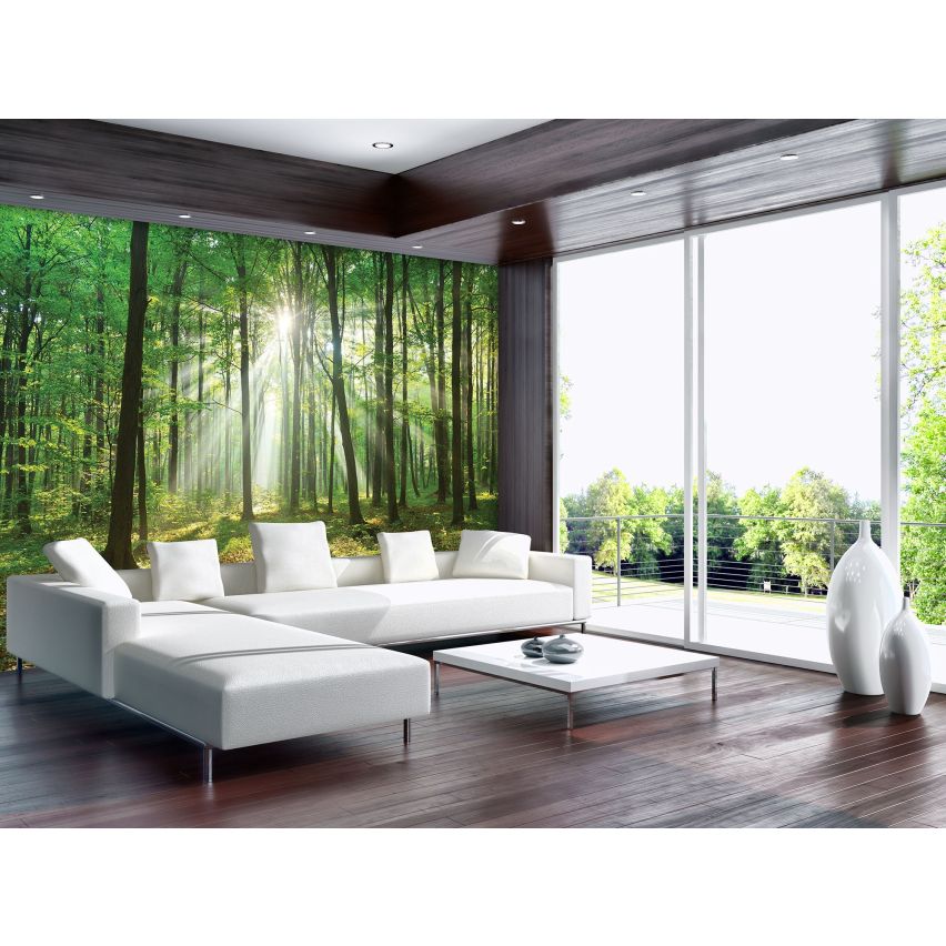Fototapete WALD-(C10329)-Vlies-Tapete-Waldfläche Baum Sonne Bäume Licht XXL (Copy)