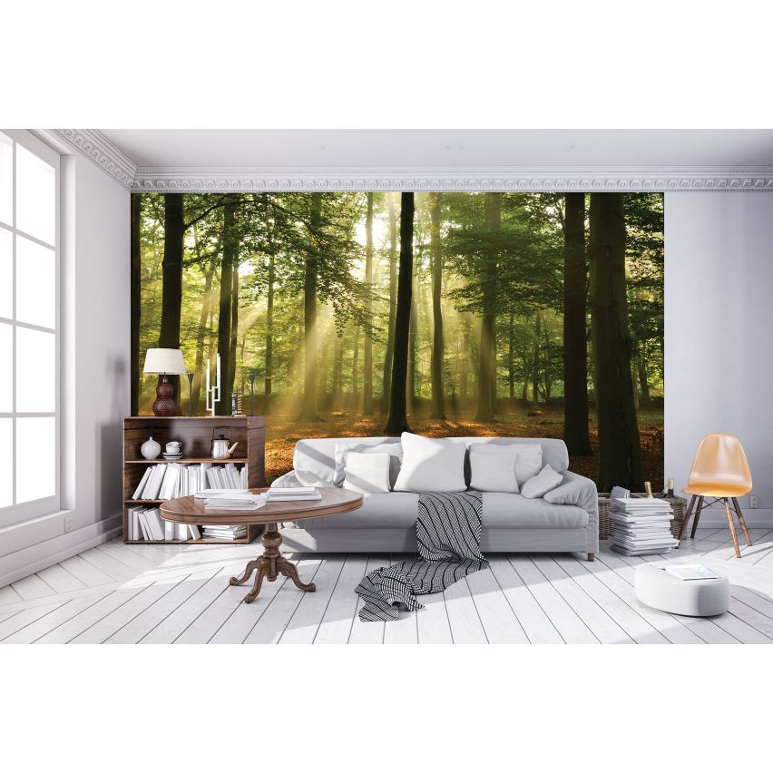Fototapete WALD-(C10331)-Vlies-Tapete-Waldfläche Baum Sonne Bäume Licht XXL