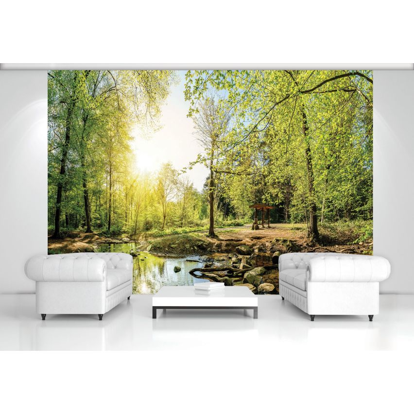 Fototapete WALD-(C10508)-Vlies-Tapete-Waldfläche Baum Sonne Bäume Licht XXL (Copy)