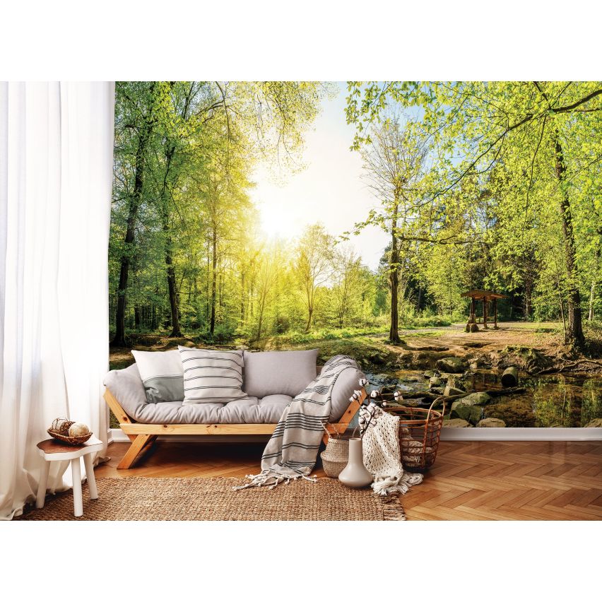 Fototapete WALD-(C10508)-Vlies-Tapete-Waldfläche Baum Sonne Bäume Licht XXL (Copy)