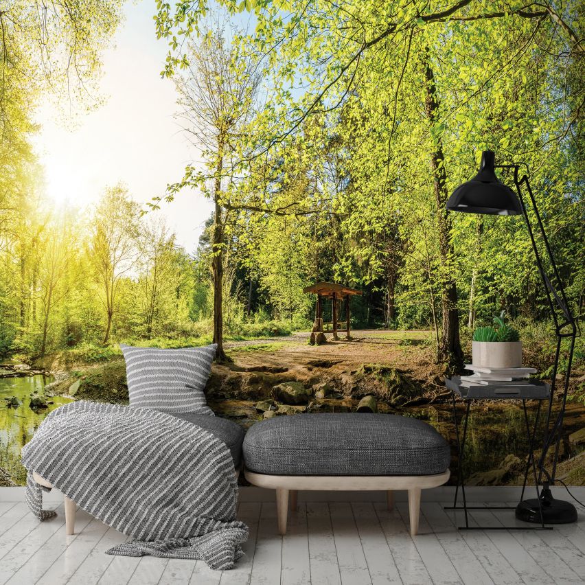 Fototapete WALD-(C10508)-Vlies-Tapete-Waldfläche Baum Sonne Bäume Licht XXL (Copy)