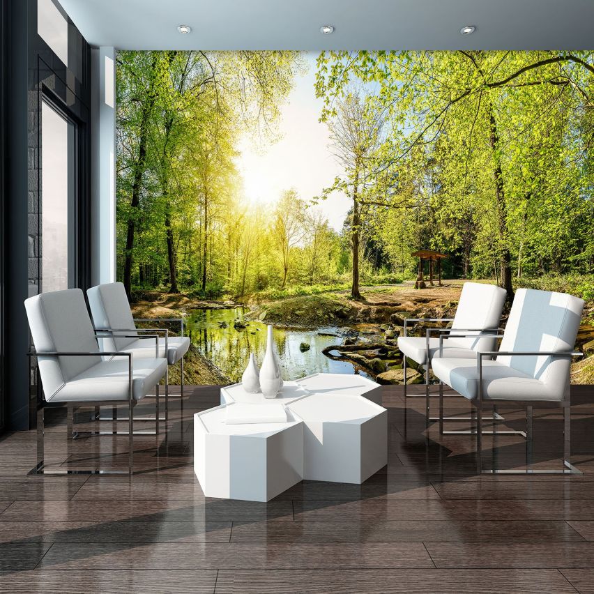 Fototapete WALD-(C10508)-Vlies-Tapete-Waldfläche Baum Sonne Bäume Licht XXL (Copy)