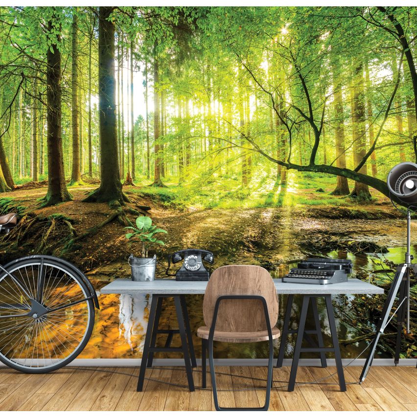 Photo Wall Mural-TROPICAL FOREST-(10513)-NON WOVEN-Wallpaper-Water Pond Tree Sun XXL (Copy)