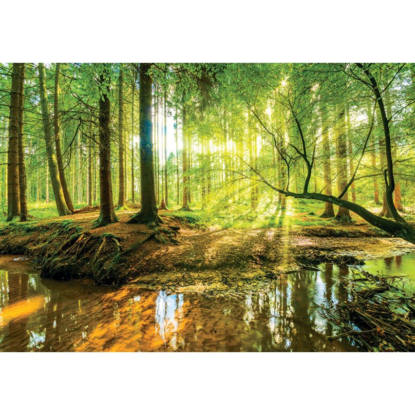 Photo Wall Mural-TROPICAL FOREST-(10513)-NON WOVEN-Wallpaper-Water Pond Tree Sun XXL (Copy)