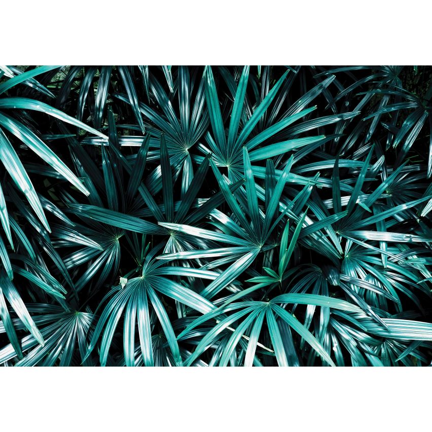 Fototapete 3D TROPISCHE PFLANZE-(C12665) - Vliestapete -Grüne Blätter Baum XXL