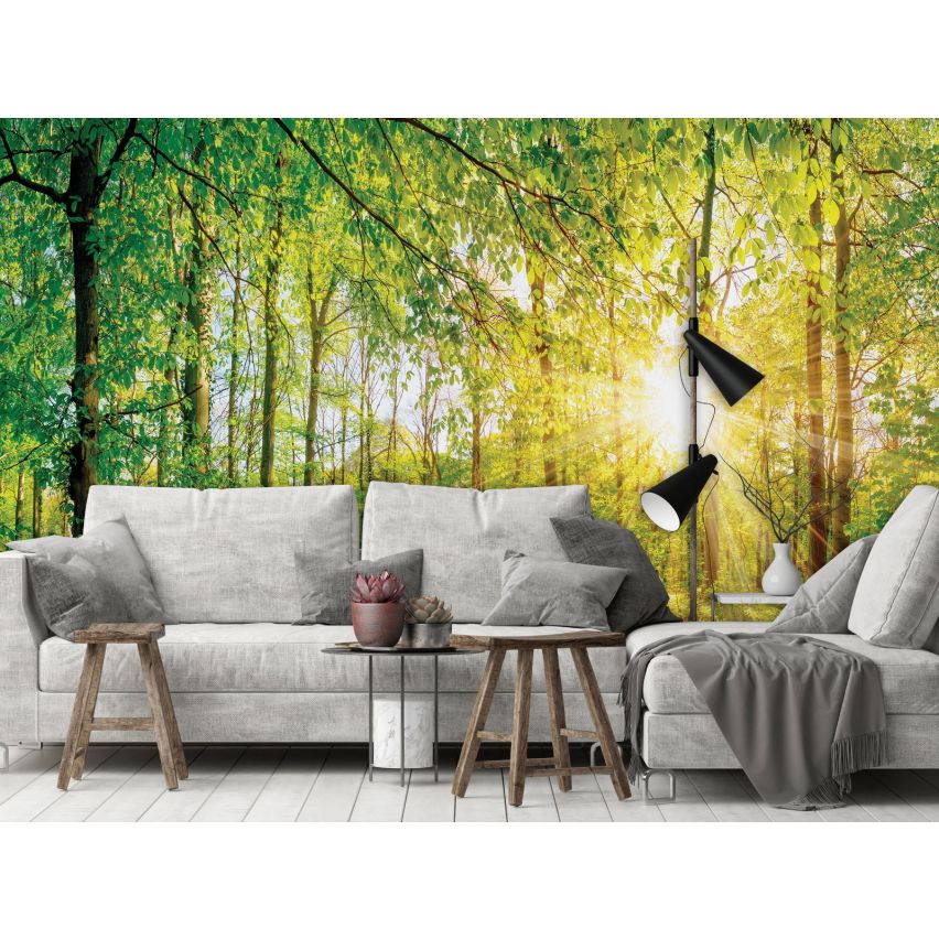 Fototapete WALD-(C13462)-Vlies-Tapete-Waldfläche Baum Sonne Bäume Licht XXL