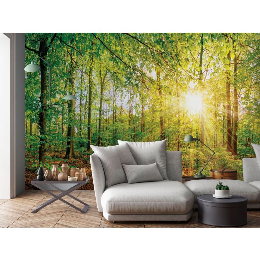 Fototapete WALD-(C13462)-Vlies-Tapete-Waldfläche Baum Sonne Bäume Licht XXL