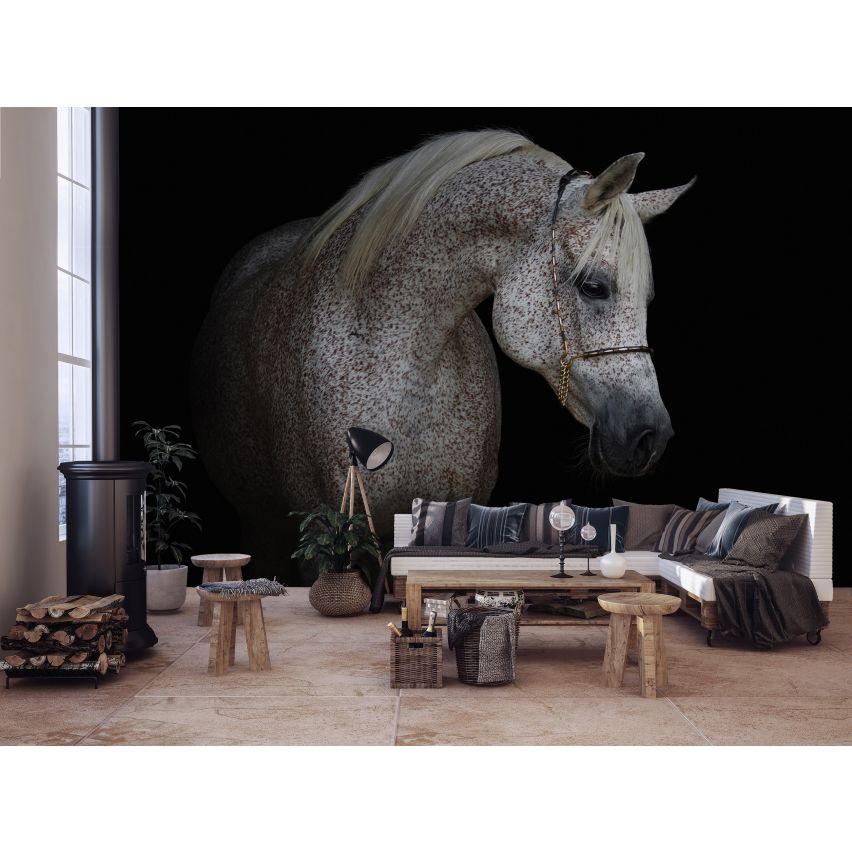 Fototapete -(C13596)-Vlies-Tapete-Tiere XXL