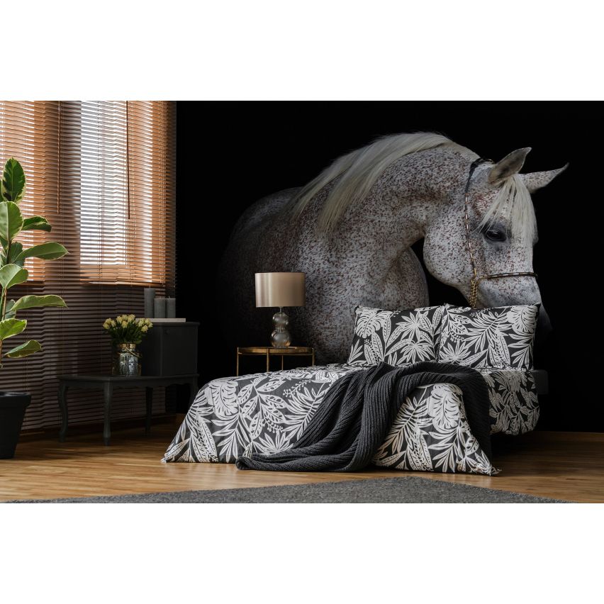 Fototapete -(C13596)-Vlies-Tapete-Tiere XXL