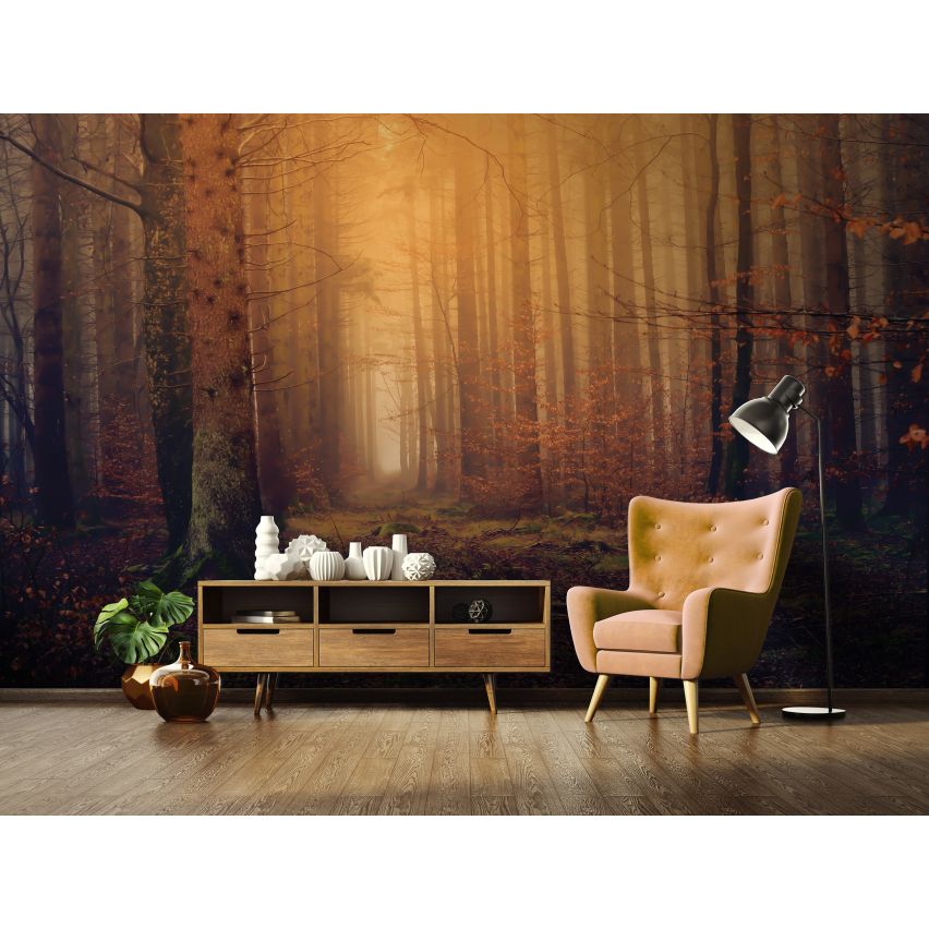 Fototapete WALD-(C13918)-Vlies-Tapete-Waldfläche Baum Nebel Bäume Licht XXL