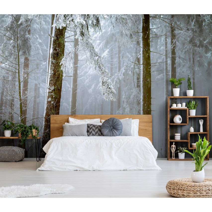 Fototapete WALD-(C13919)-Vlies-Tapete-Waldfläche Baum Schnee Bäume Licht XXL
