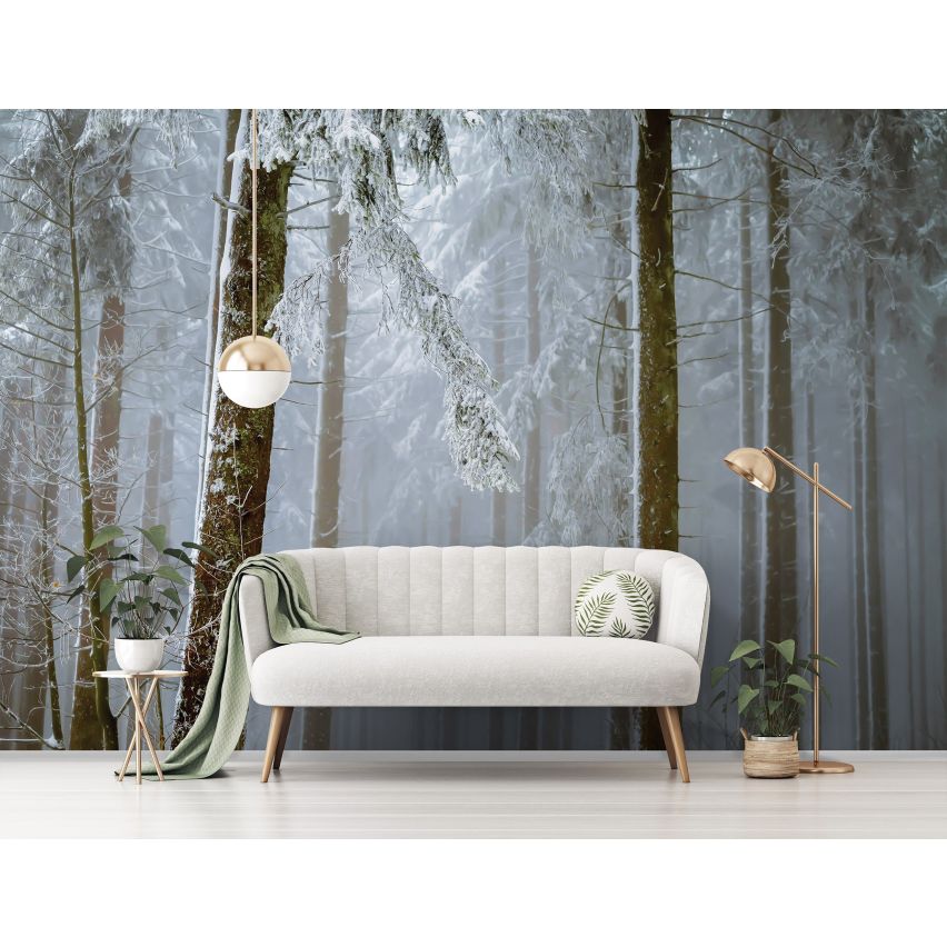Fototapete WALD-(C13919)-Vlies-Tapete-Waldfläche Baum Schnee Bäume Licht XXL