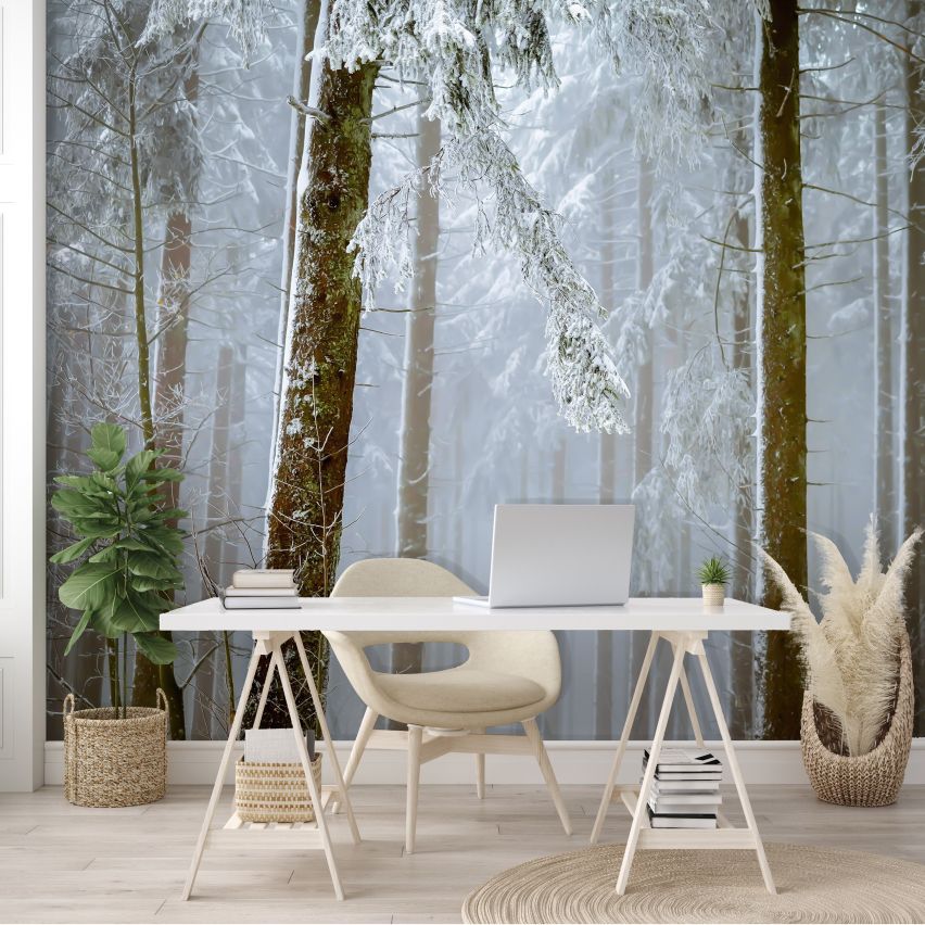 Fototapete WALD-(C13919)-Vlies-Tapete-Waldfläche Baum Schnee Bäume Licht XXL