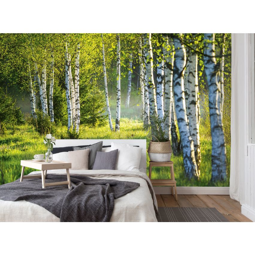 Fototapete WALD-(C14174)-Vlies-Tapete-Waldfläche Baum Sonne Bäume Licht XXL