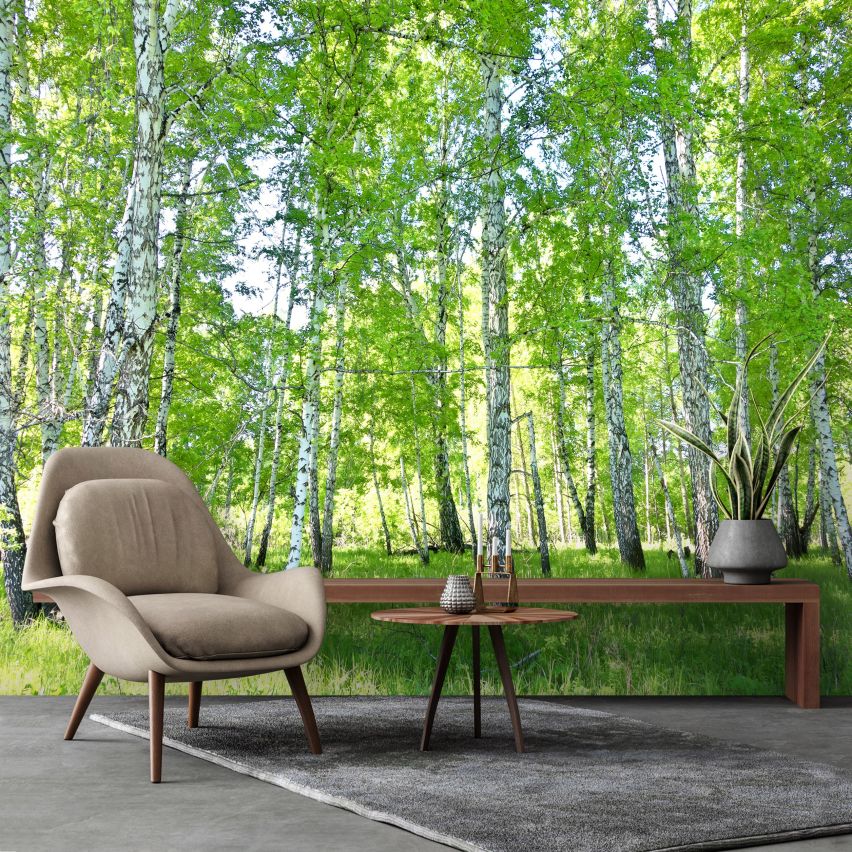 Fototapete WALD-(C14182)-Vlies-Tapete-Waldfläche Baum Sonne Bäume Licht XXL