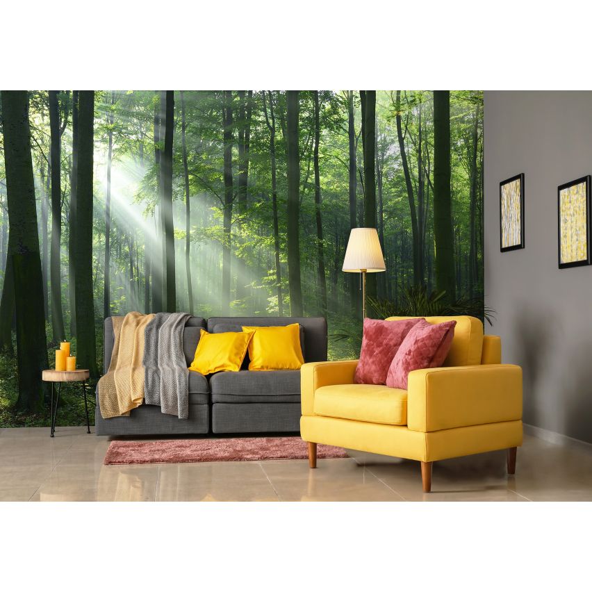 Fototapete WALD-(C14420)-Vlies-Tapete-Waldfläche Baum Sonne Bäume Licht XXL