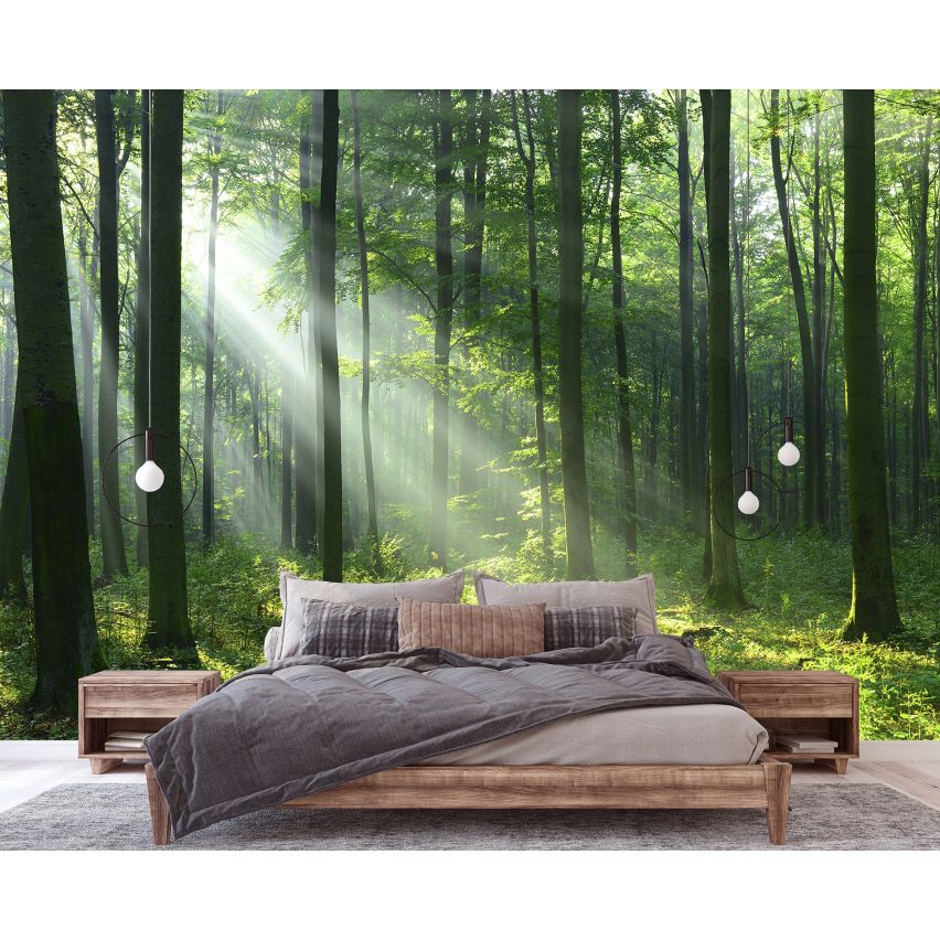 Fototapete WALD-(C14420)-Vlies-Tapete-Waldfläche Baum Sonne Bäume Licht XXL