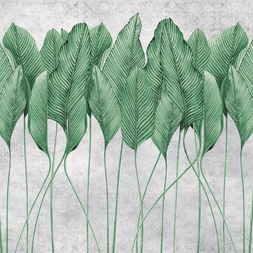 Fototapete 3D PFLANZE FEDERN-(C14428) - Vliestapete-Grüne Blätter Baum XXL