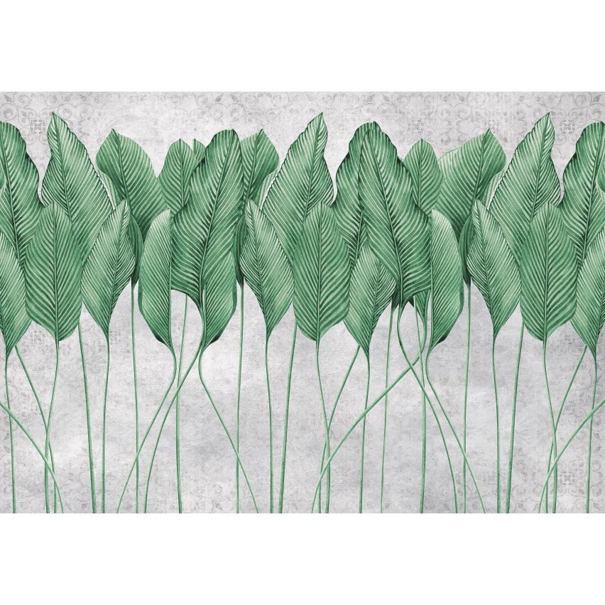 Fototapete 3D PFLANZE FEDERN-(C14428) - Vliestapete-Grüne Blätter Baum XXL