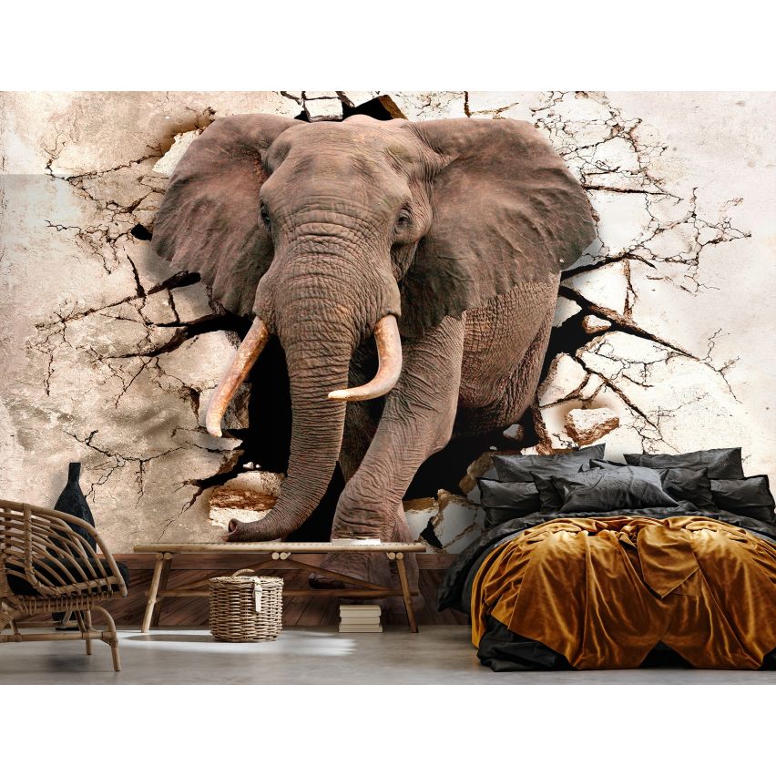 Fototapete-VLIES-ELEFANT-(C14437)-Tapete-Nach-Mass-Tier Wand Kinder-Spielzimmer XXL