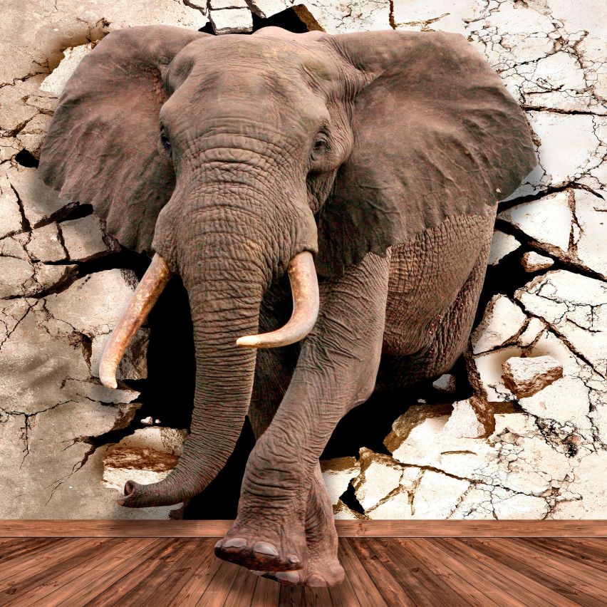 Fototapete-VLIES-ELEFANT-(C14437)-Tapete-Nach-Mass-Tier Wand Kinder-Spielzimmer XXL