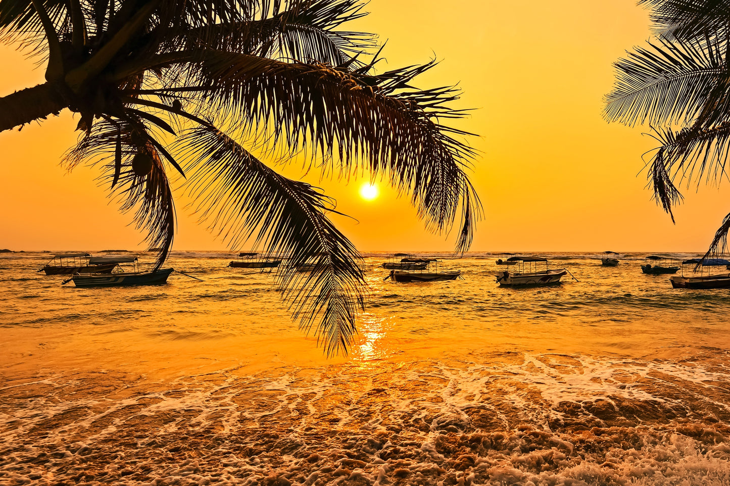 Fototapete Palme (3372) - Vliestapete - Strand Natur Sonnenuntergang Himmel XXL