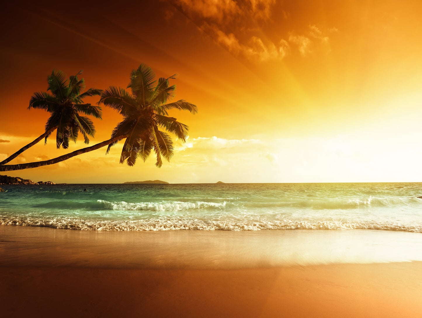 Photo Wall Mural-PALM SAND BEACH-(5172)-NON WOVEN-Wallpaper-Sunset Ocean Sky XXL