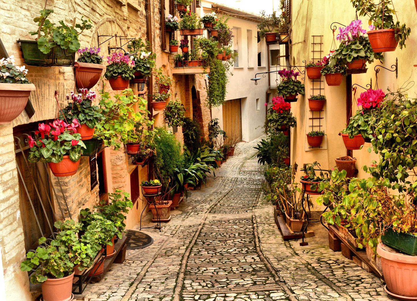 Photo Wall Mural-(541)-OLDTOWN-NON WOVEN-Flower-Pot Alley Wallpaper Panorama XXL