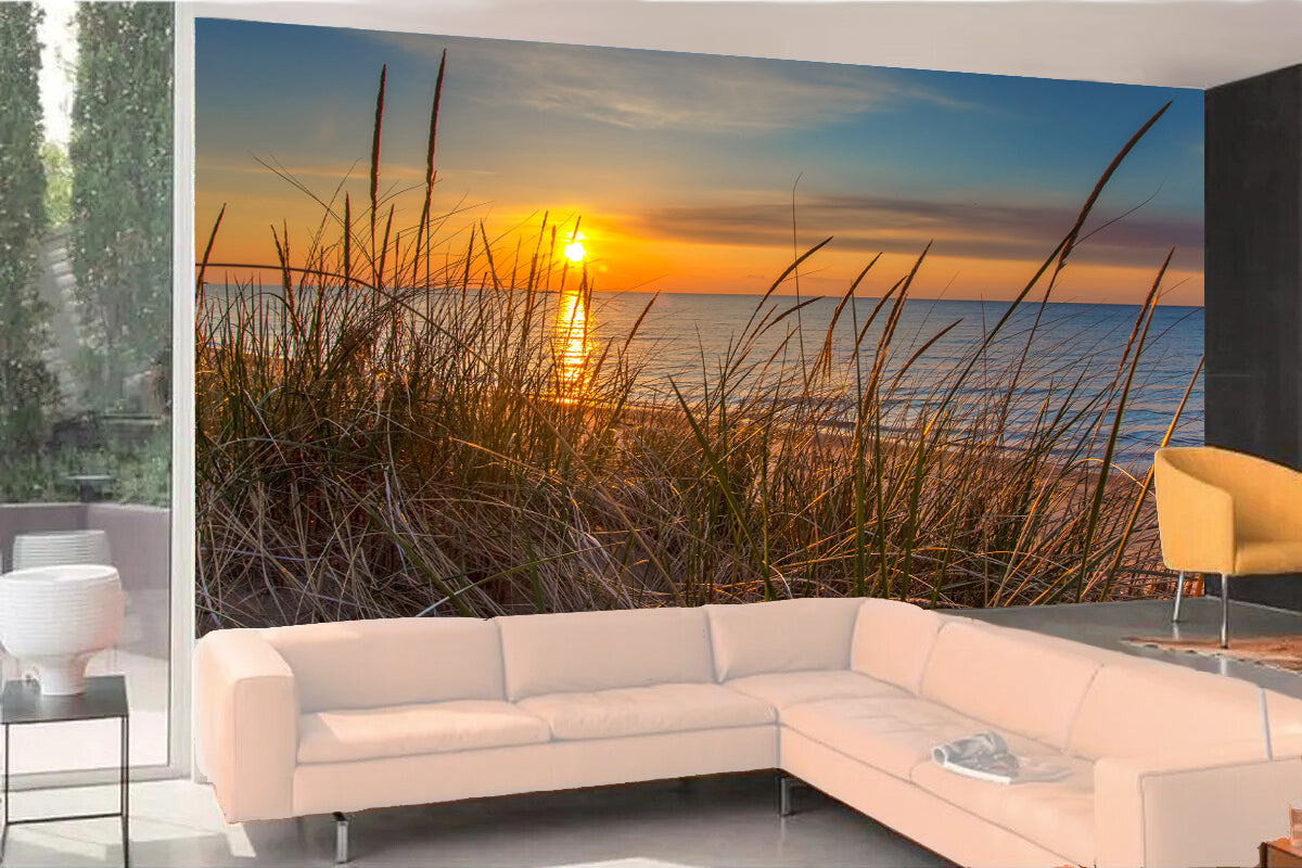 Fototapete VLIES-SANDSTRAND-(5786S)-Dune Tapete Gras Sonne Strähne XXL