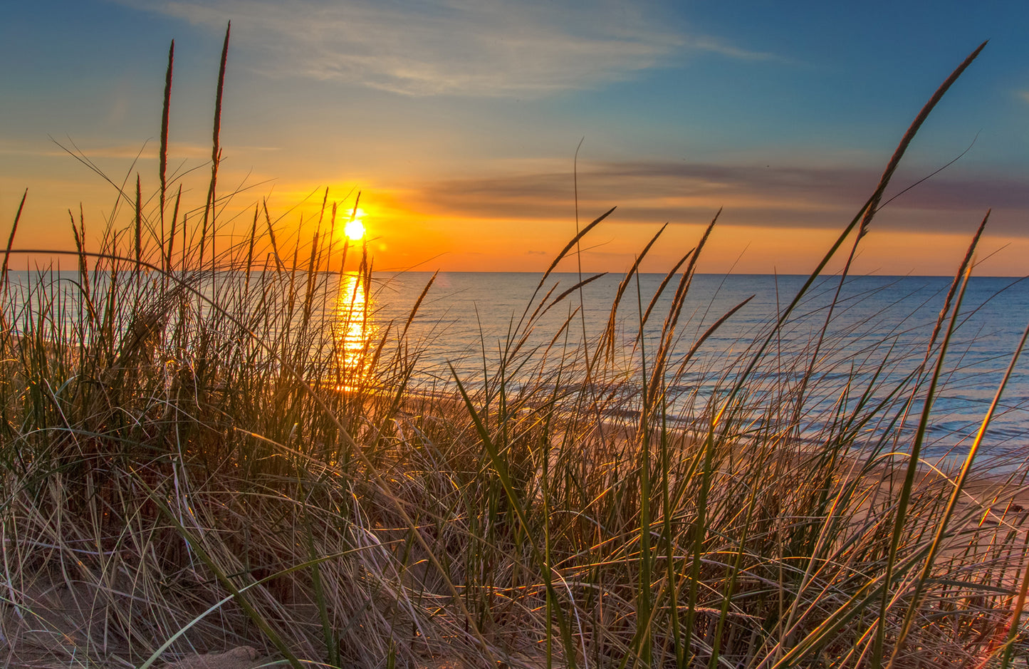Fototapete VLIES-SANDSTRAND-(5786S)-Dune Tapete Gras Sonne Strähne XXL