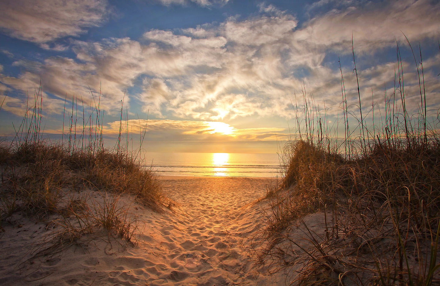 Fototapete VLIES-SANDSTRAND-(5789S)-Dune Tapete Gras Sonne Strähne XXL