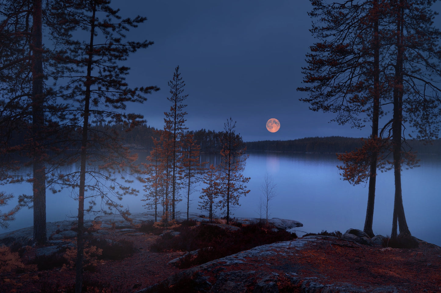 Photo Wall Mural-(6833)-NIGHT LAKE FOREST-NON WOVEN-Wallpaper-Trees Sun Moon XXL