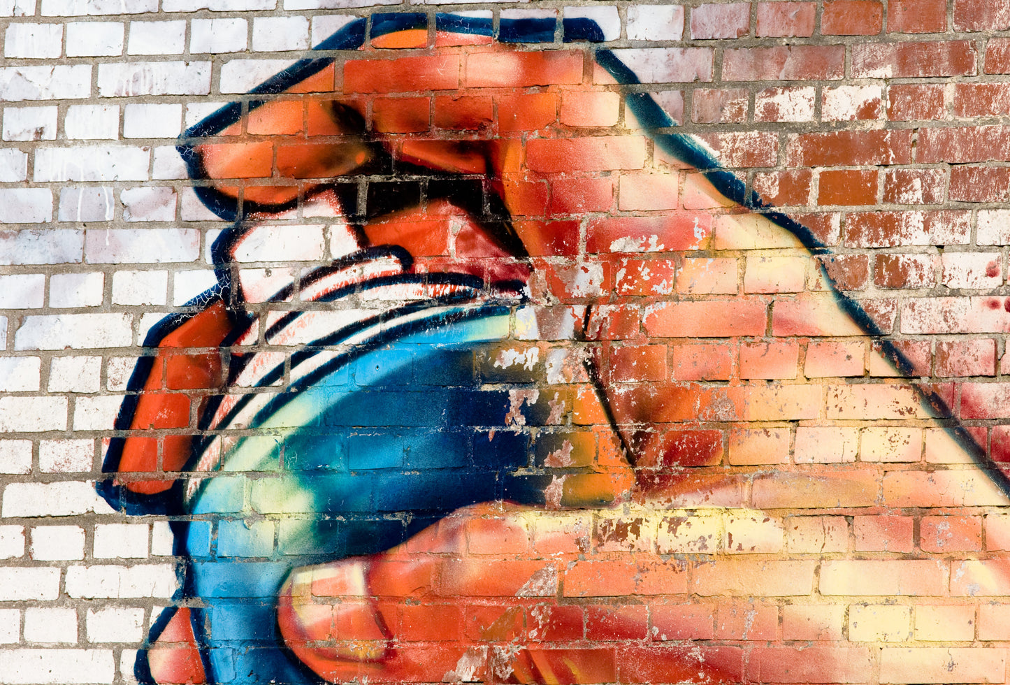 VLIES Fototapete-GRAFFITI-(941S)-Altstadt Gasse Stadt Blumen Mauer Stein Ziegel