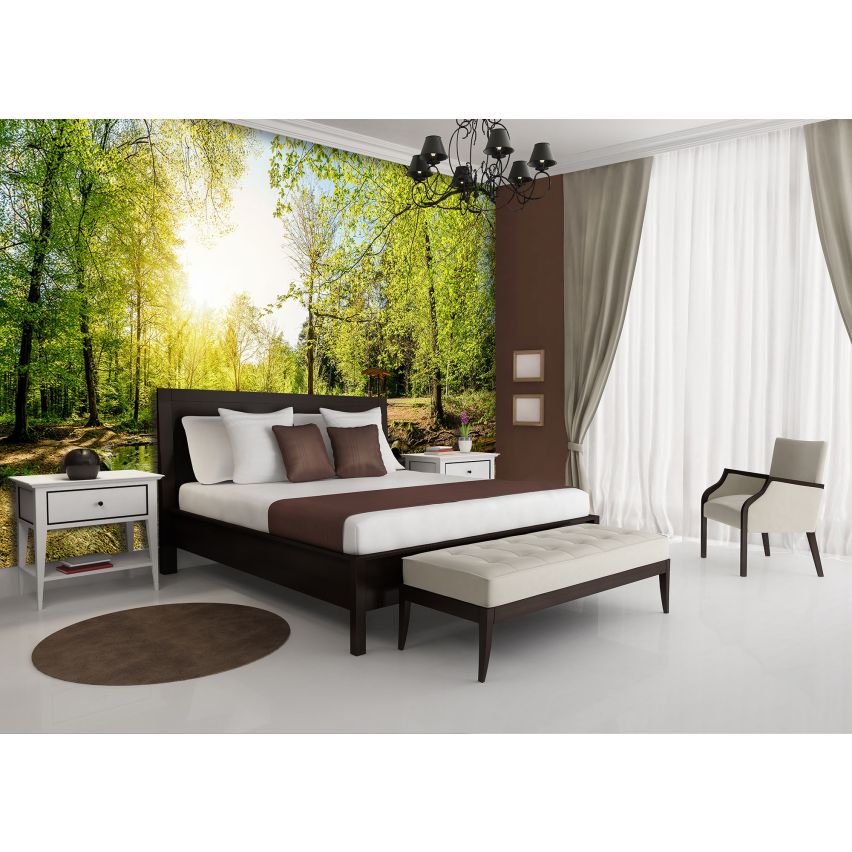 Fototapete WALD-(C10508)-Vlies-Tapete-Waldfläche Baum Sonne Bäume Licht XXL (Copy)