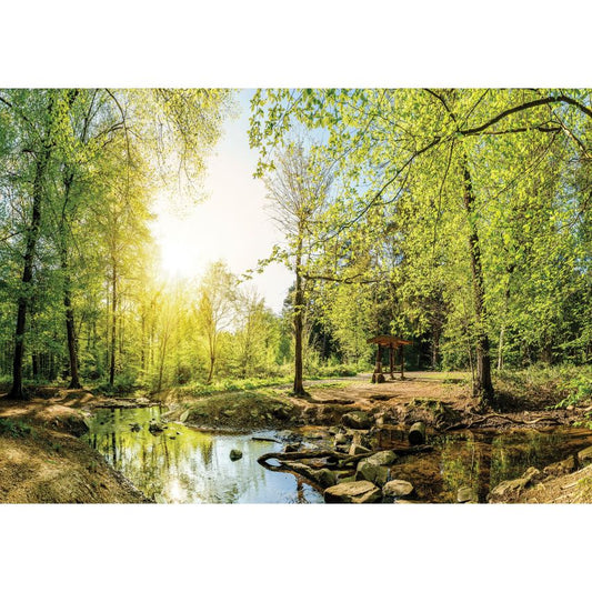 Fototapete WALD-(C10508)-Vlies-Tapete-Waldfläche Baum Sonne Bäume Licht XXL (Copy)