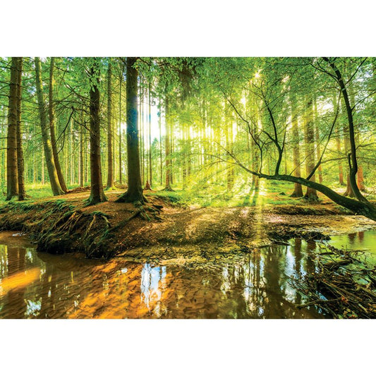 Photo Wall Mural-TROPICAL FOREST-(10513)-NON WOVEN-Wallpaper-Water Pond Tree Sun XXL (Copy)