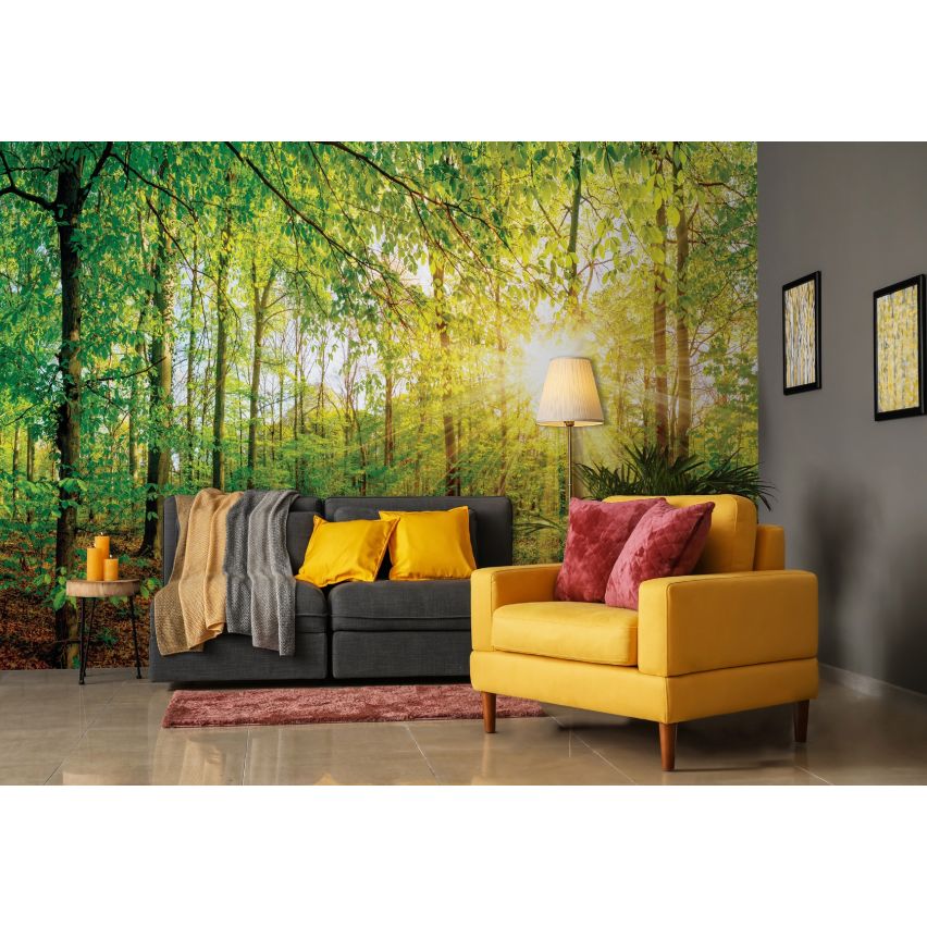 Fototapete WALD-(C13462)-Vlies-Tapete-Waldfläche Baum Sonne Bäume Licht XXL