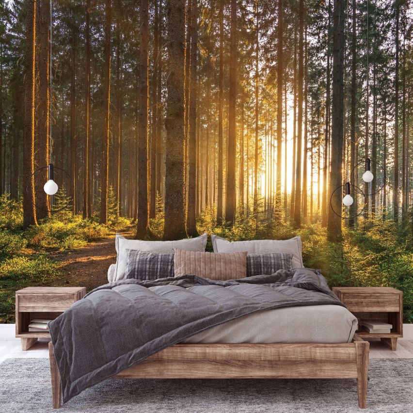 Fototapete WALD-(C14185)-Vlies-Tapete-Waldfläche Baum Sonne Bäume Licht XXL
