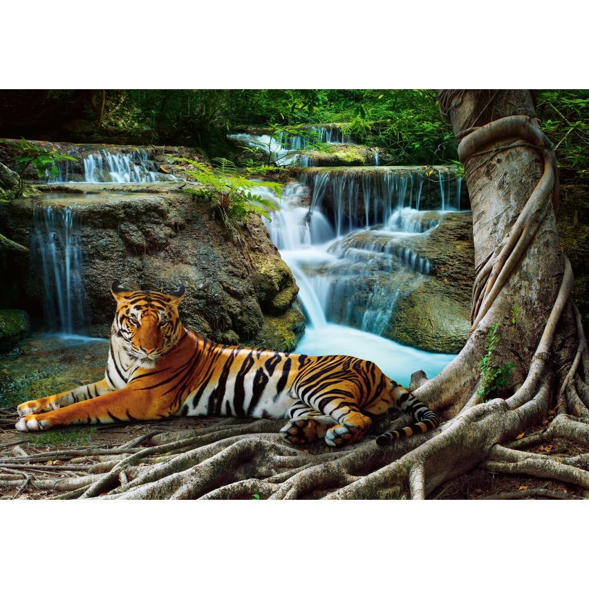 Fototapete -(C14407)-Vlies-Tapete-Tiere XXL