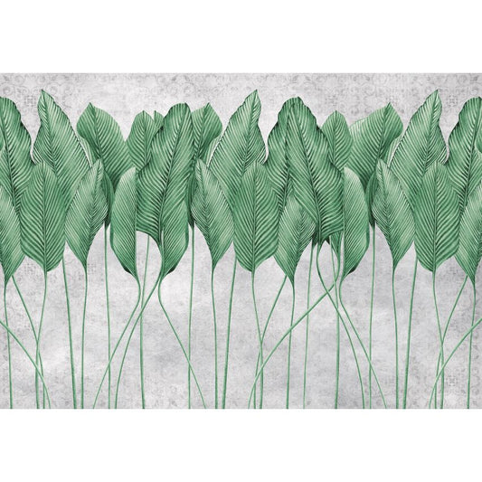 Fototapete 3D PFLANZE FEDERN-(C14428) - Vliestapete-Grüne Blätter Baum XXL